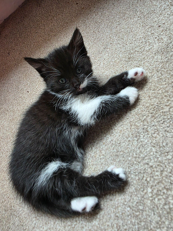 1 black and white boy