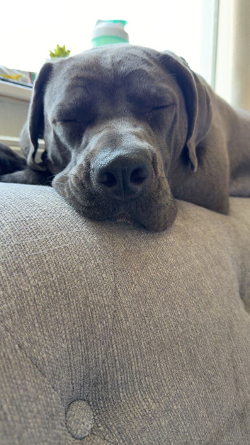 10 months old female