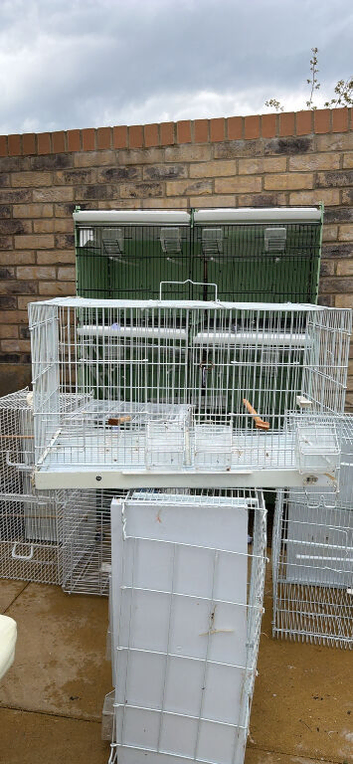 Canaries cages for sale