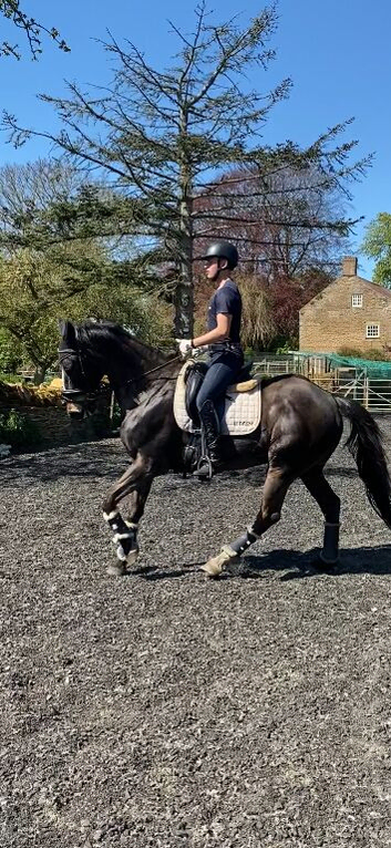 DIY/ ASSISTED/ FULL/ SCHOOLING LIVERY