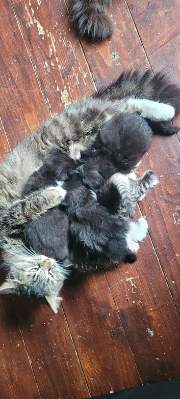 4 beautiful boys