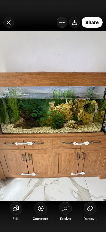 Diffent fish and tank for sale