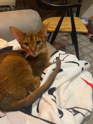 Please find Rusty