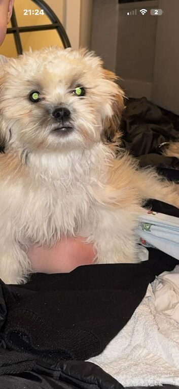 Winnie