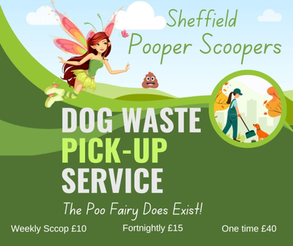 Pet Waste Removal Service