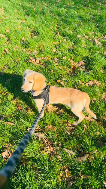 Tilly