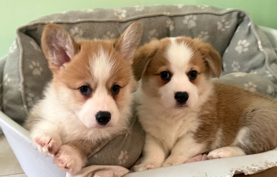 Ready to go TODAY on their new adventure!