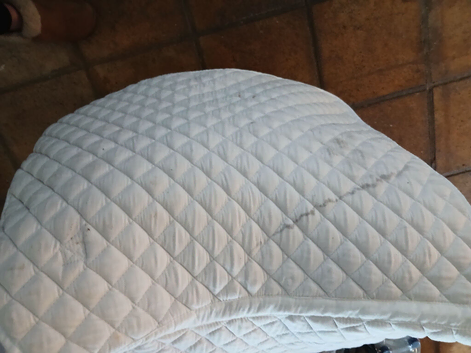 Roma pad white