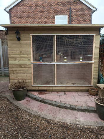 Looking to re-home your aviary birds.