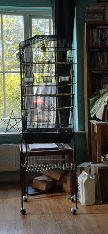 Cage and stand available