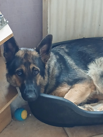 Tia.