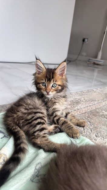 Beautiful Boy