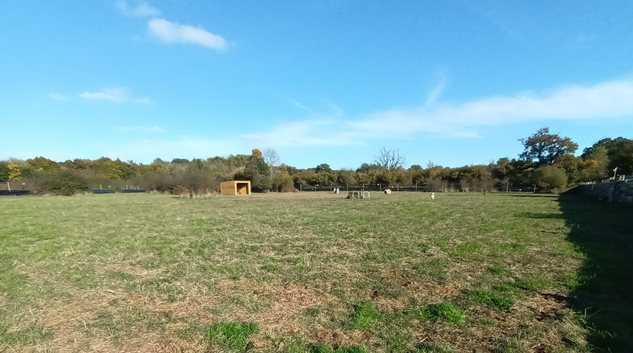 Secure dog walking fields