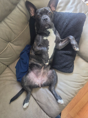 Luna
