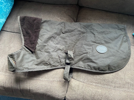 Dog Barbour coat