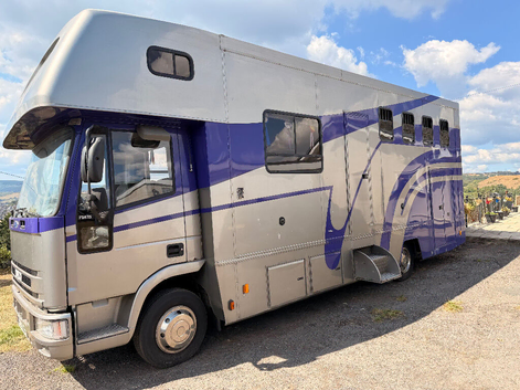 Iveco 2000 7.5t 4 horsebox