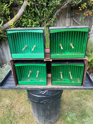 Show cages