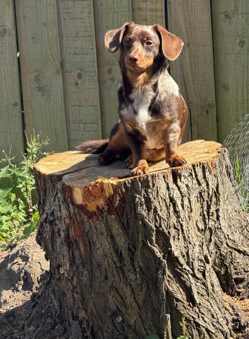 Lovely little lad