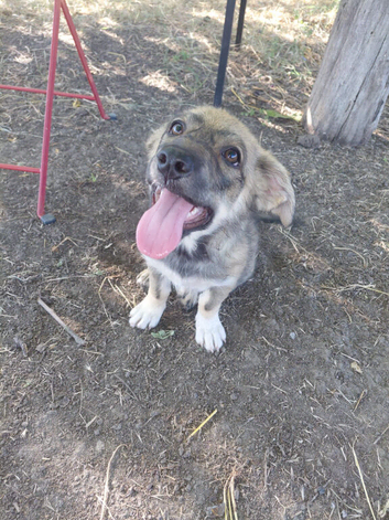 HANNAH &ndash; A BEAUTIFUL, HAPPY GIRL WITH THE MOST SOULFUL EYES
