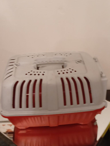 Small pet carrier