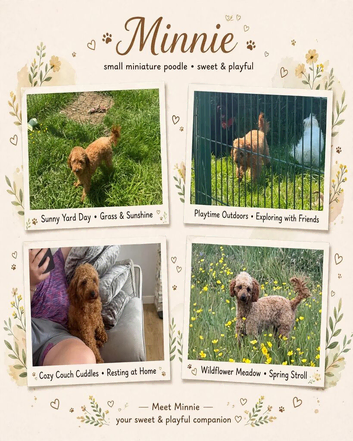 Minnie the human