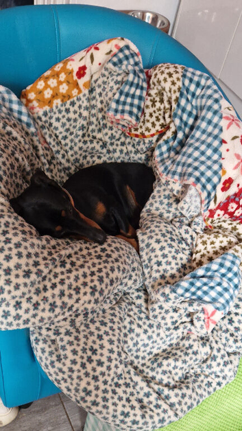 Little legs