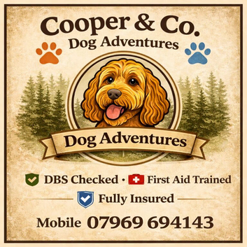 Dog Walking and Pet Services