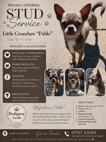 Little grandure Pablo