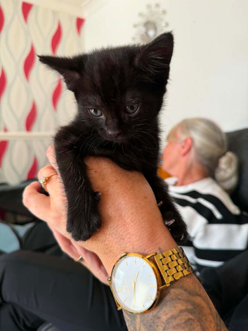 Girl 7weeks