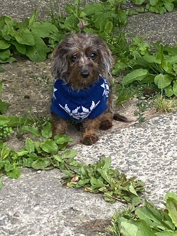 Millie