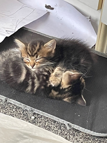 2 left boy and girl