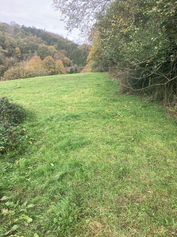 Grazing available in a few weeks