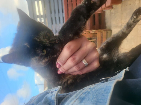 Tortoishell girl