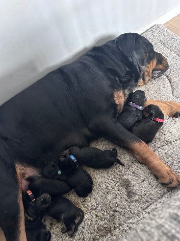 ONE BOY LEFT