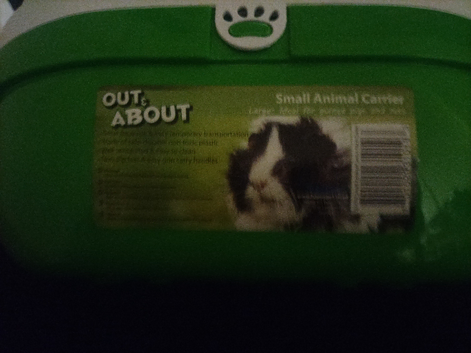Out and about small pet carrier (Green)