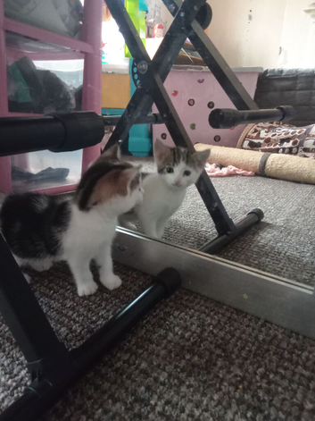 For sale