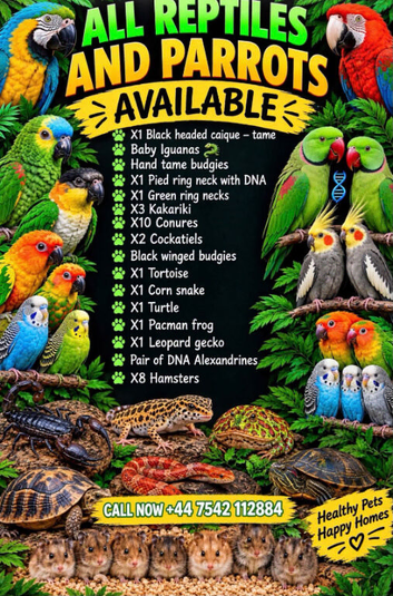 All available
