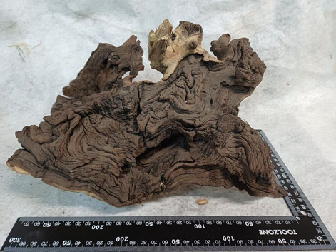 **NEW ** Mopani wood