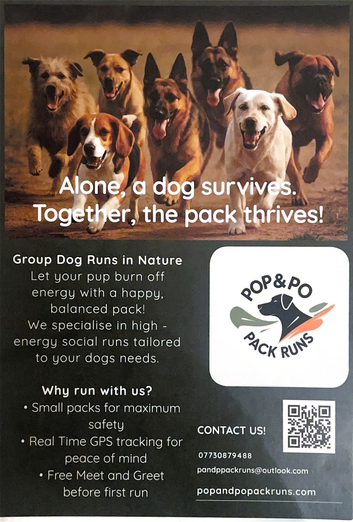 Dog Pack Runs / Walks
