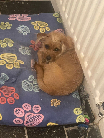 6 month old girl