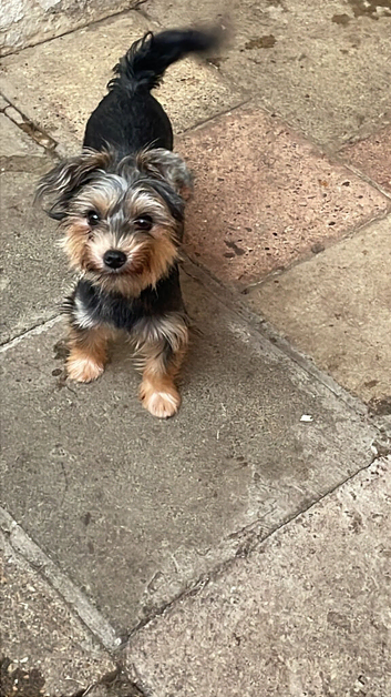 Mam and dother loking for new home