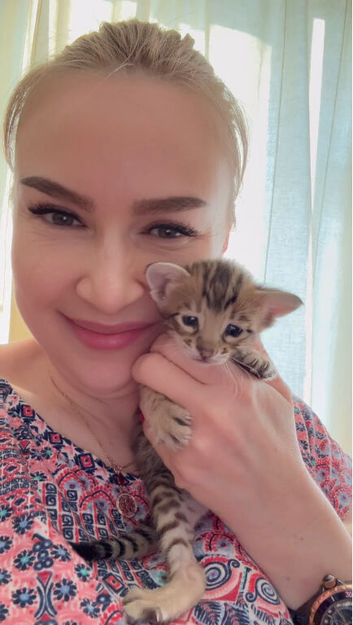 Tica Registered Purebred Savannah kittens