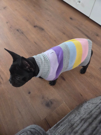 Female frenceie
