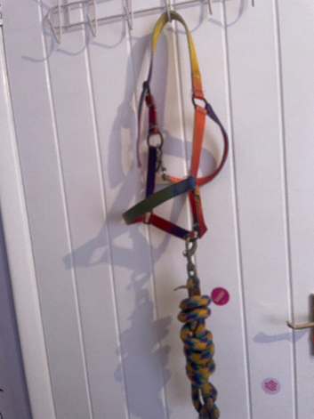 Headcollar