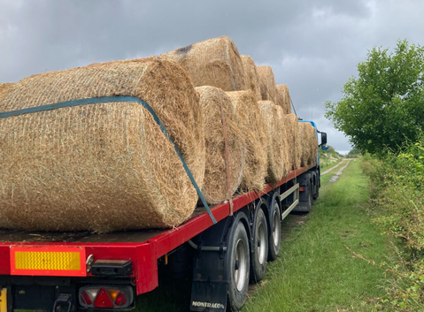 Hay - large bales