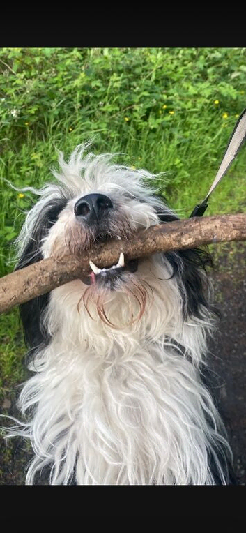 (RESERVED) Female 2 years old