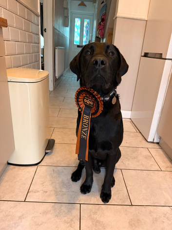 Heartbreaking sale of highly trained pup