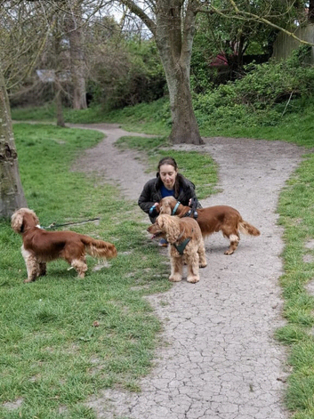 Dog Walking and Day care.