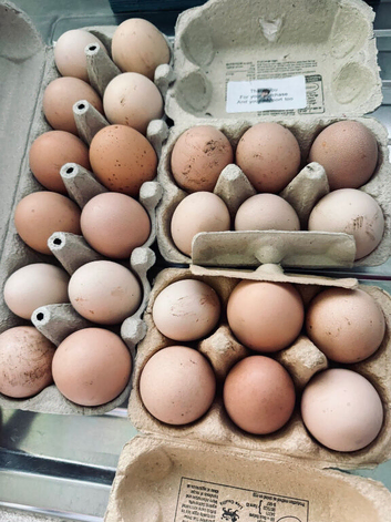 Free Range Chicken Eggs For Sale