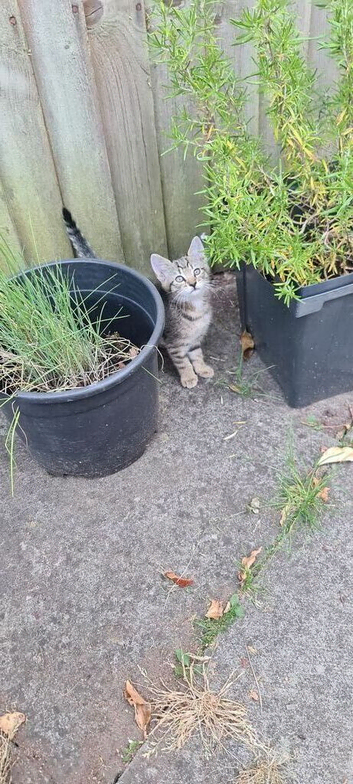 looking for new home